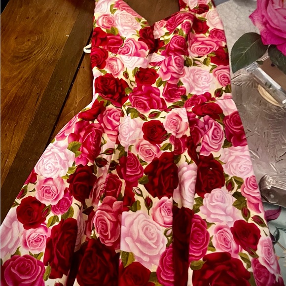 Heart of Haute Pin Up Sundress covered in Roses! - Picture 2 of 5